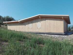 WhatsApp Image 2021-07-27 at 17.15.12 (1)